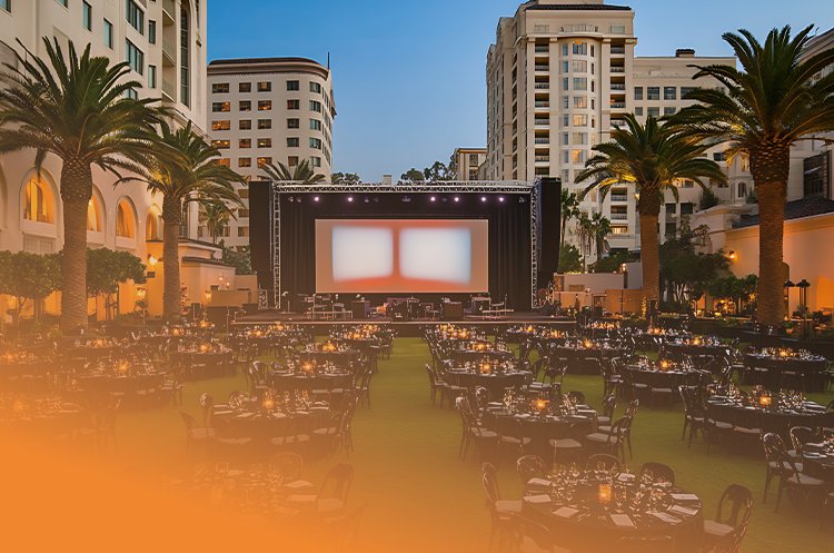 VIP Party Package